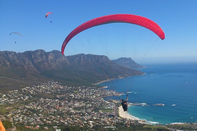 Cape Town 3-Day Attraction Tours: Paragliding, Cape Peninsula & Wine Tasting - Exploring the Breathtaking Cape Peninsula