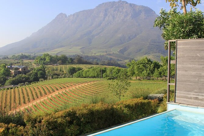 Cape Town Helicopter Flight, Wine Tasting & Picnic Lunch Private Tour - Tour Highlights