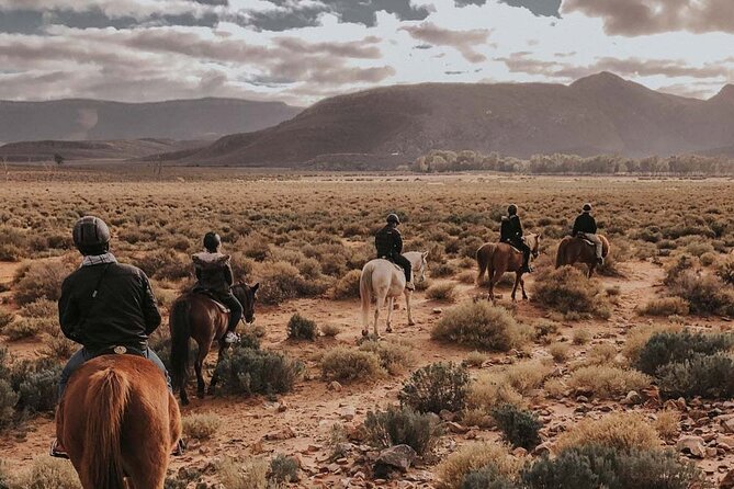 Cape Town Horseback Full Day Safari Tour - Tour Duration and Schedule