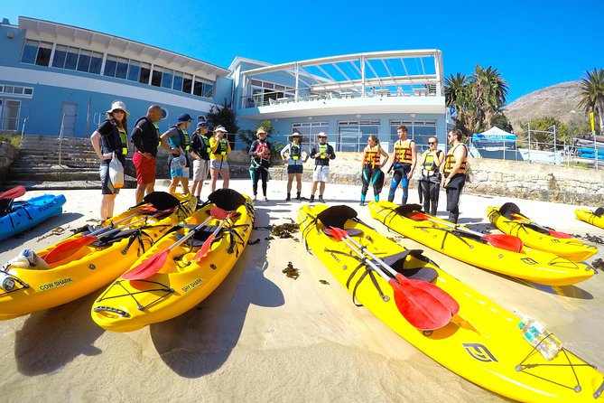 Cape Town: Sea Kayaking Near Penguins Tour - Tour Details