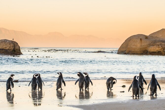 Cape Town & Winelands - Luxury Private Tour (Max 3 Persons) - Itinerary