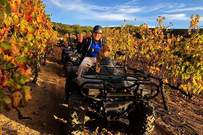 Cape Winelands: Quad Bike Tour  - Stellenbosch - Selecting Date and Travelers