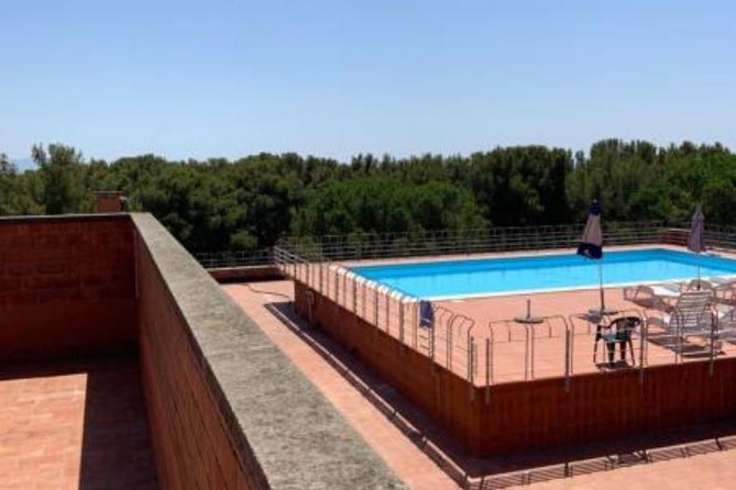 Castiglioncello to Pisa, Florence Airport Round-Trip Transfer (Feb ) - Service Details