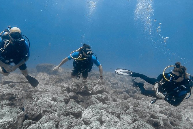 Catalina Island Diving Tour From Tamarindo and Langosta - Tour Overview and Activities