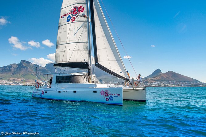 Catamaran Cruise and Sushi Experience in Cape Town - Overview and Experience