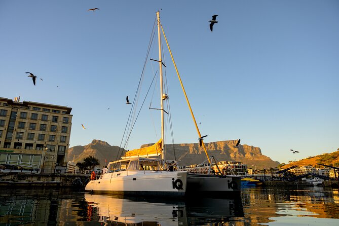 Catamaran Cruise in Cape Town - Pricing and Booking