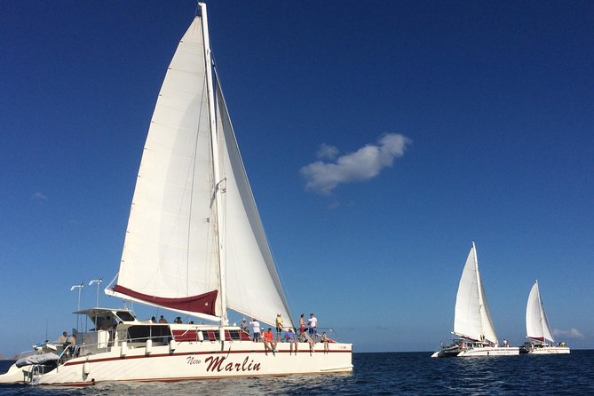 Catamaran Snorkeling & Sunset Sailing Tour - Tour Highlights