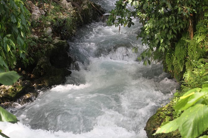 Caving at Roaring River - Tour Highlights