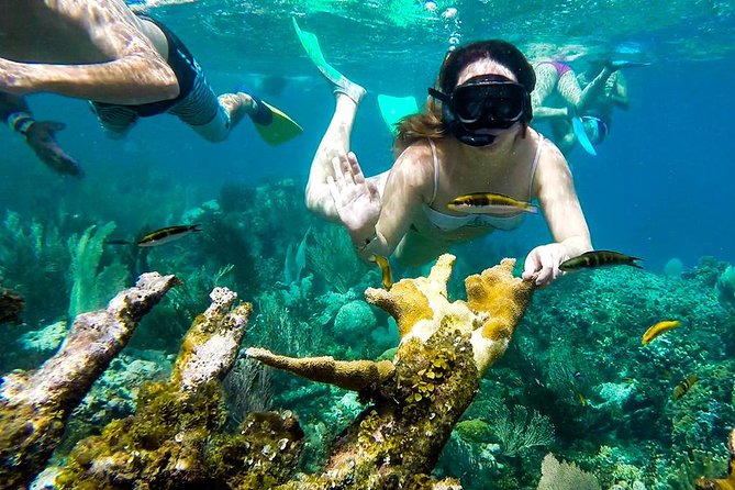 Cayo Arena Day Trip From Puerto Plata - Reviews