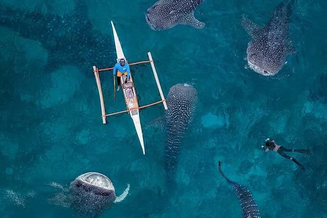 Cebu: 3 Days 2 Nights in Private Cebu Tour - Tour Itinerary Highlights