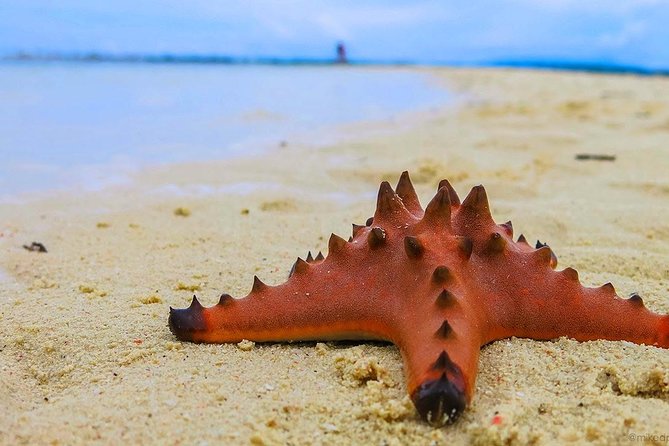 Cebu: 3 Days and 2 Nights - Itinerary Highlights