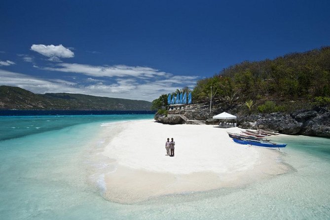 Cebu Private Whale Shark, Waterfalls, and Sumilon Island Tour (Feb ) - Tour Itinerary Overview