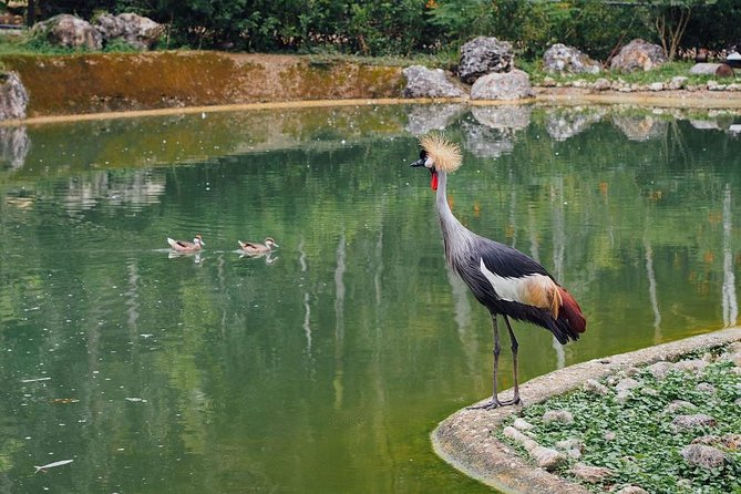 Cebu Safari Day Tour - Itinerary Overview