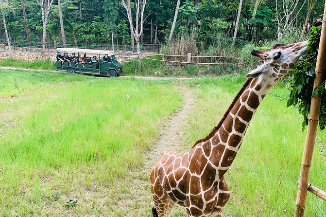 Cebu Safari Journeys - Key Attractions at the Safari