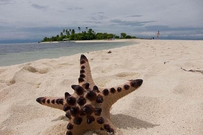 Cebu to Bohol: 2D and 1N With Bohol Country Side Tour - Accommodation Options and Inclusions