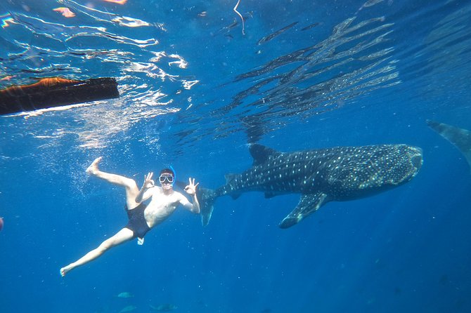 Cebu Whalesharks, Sumilon Whitesand & Kawasan Waterfalls - Tour Highlights