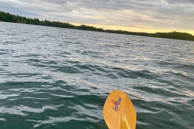 Celebrate Summer Solstice With a Paddle Under the Midnight Sun - Event Overview