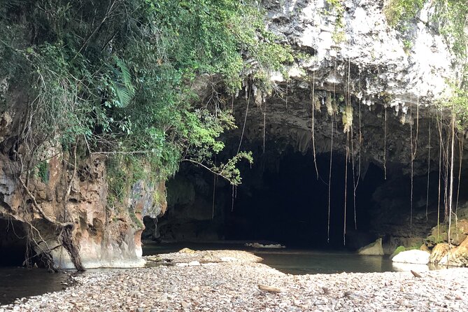 Charlies Cave Tubing Tour for Cruisers (Lunch Included) - Tour Highlights