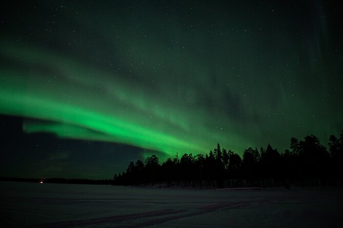 Chasing the Magic Northern Lights in Rovaniemi in a Small Group - Pricing and Affordability