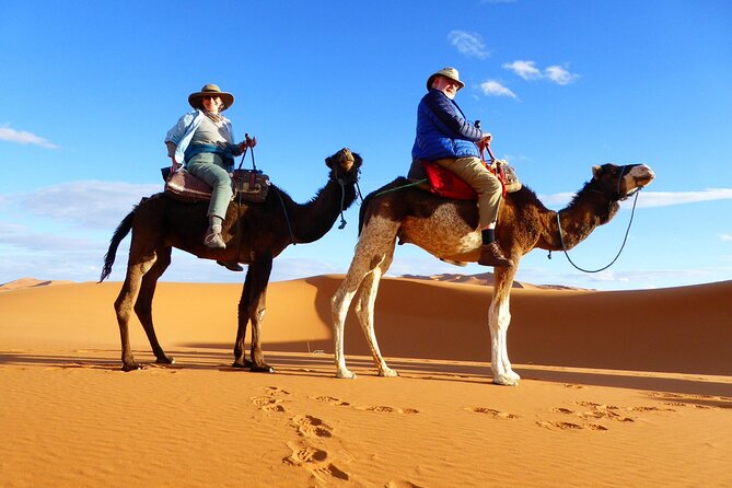 Cheapest 2-Day Tour From Fes to Merzouga Desert: Taxi Option - Meeting and Pickup