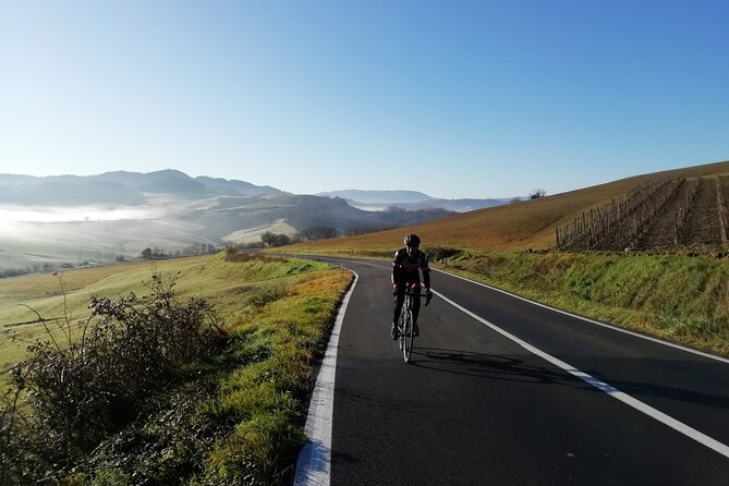 Chianti Classico Bike Tour From Siena - Tour Highlights