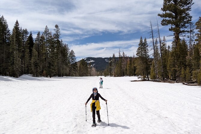 Chickadee Ridge Beginner Snowshoe Activity - Trail Information