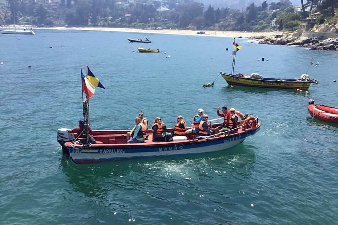 Chile Full Day Adventure Experience (Feb ) - Trip Overview