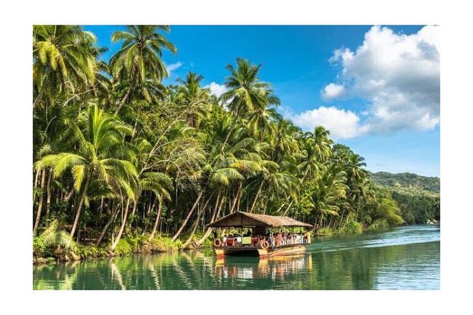 Chocolate Hills Tarsier Tour & ATV With Loboc River Buffet Lunch - Tour Itinerary Highlights