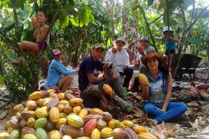 Chocolate Tour (Cacao Plantation) - Tour Details