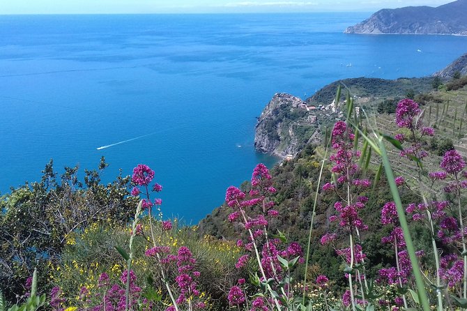 Cinque Terre Unforgettable Hiking Experience - Experience Details