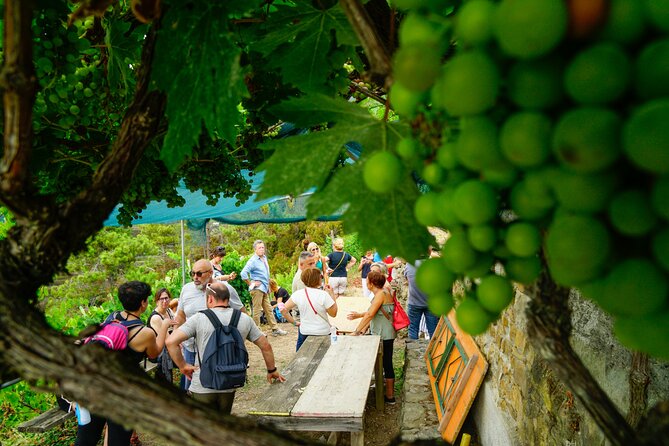 Cinque Terre Walking Tour With Local Wine Tasting - Inclusions and Amenities