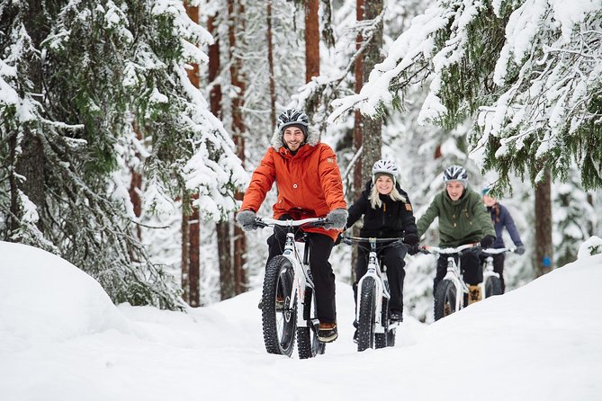 Classic Fatbike Tour in the Pyhä-Luosto National Park - Overview and Experience