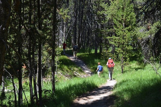 Classic Yellowstone Hike to the Shores of Lake Shoshone (Private up to 8 People) - What to Expect on the Classic Yellowstone Hike