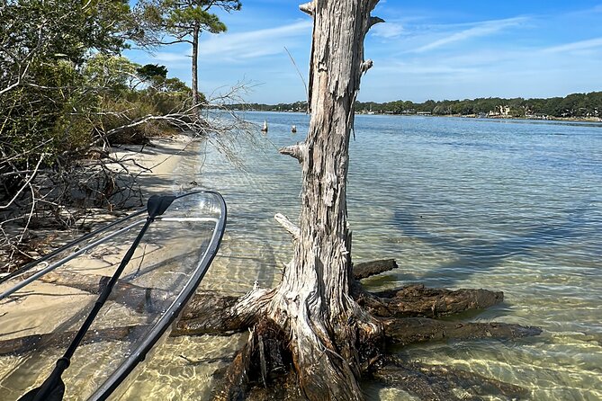 Clear Kayak Ecotour Destin Ft. Walton Beach - Logistics