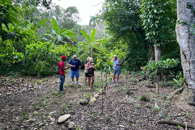 Cocoa & Artisan Chocolate Route With an Historical Tour in Puerto Plata City - Price and Inclusions