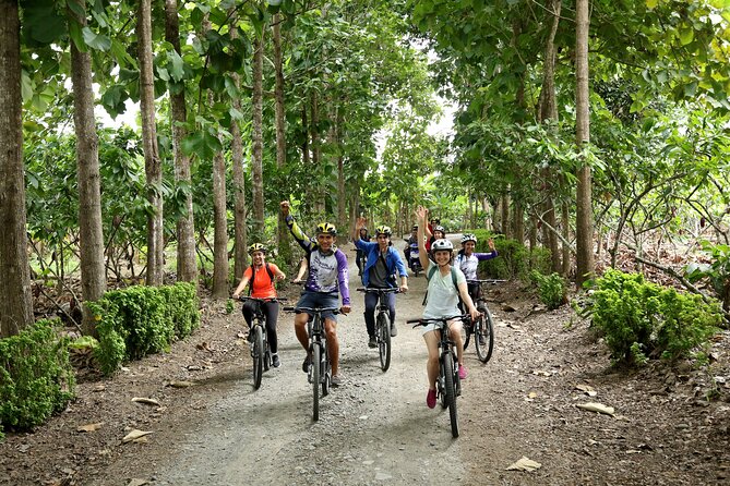 Cocoa Biking Tour - Tour Overview