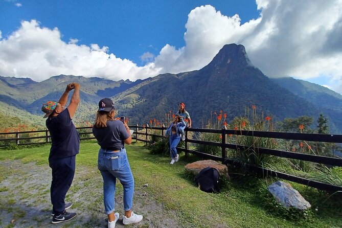 Cocora Valley Tour Unveils Nature's Wonders - Tour Highlights and Itinerary