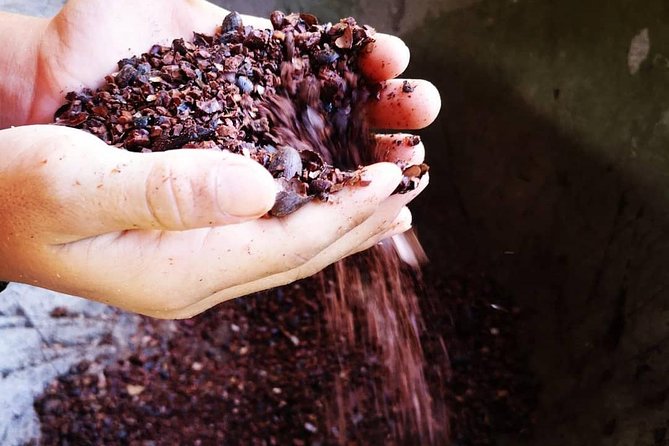 Coffee and Chocolate Experience  - Quepos - Tour Details and Itinerary