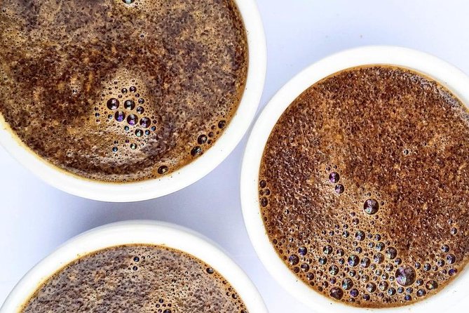 Coffee Connoisseurs Unite at AVOEDEN Workshop - Workshop Experience
