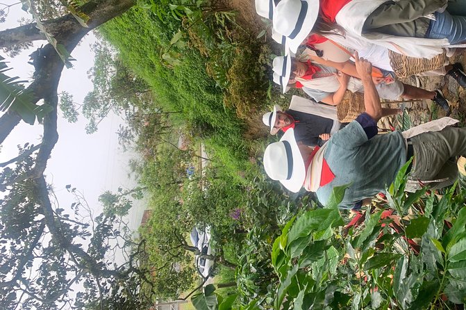 Coffee Farm and Guatapé From Medellin Private Tour  - Medellín - Tour Highlights