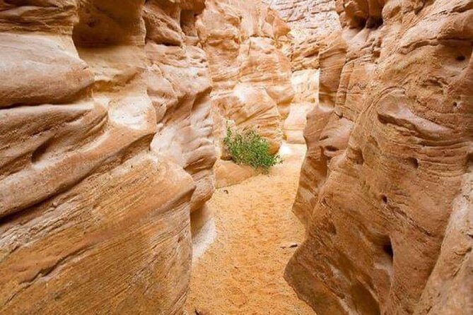 Colored Canyon and White Canyon Tour From Taba - Tour Highlights