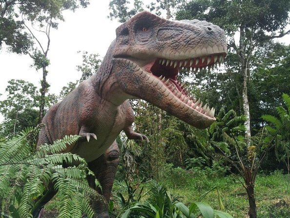 Combo Tour Blue River, Botanical Garden, Hot Springs, and Dino Park - Tour Highlights