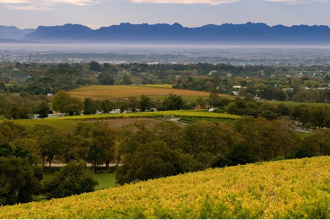 Constantia Hidden Gem Cycle Half Day - Private Tour - Tour Confirmation and Requirements