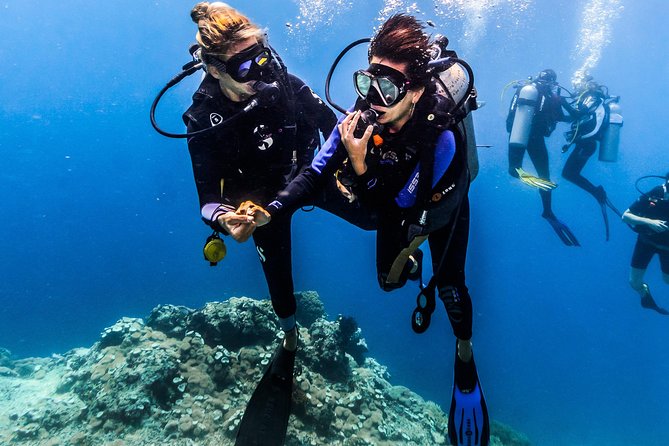 Coral Garden and Liberty Shipwreck Beginner Scuba Diving Tour  - Tulamben - Tour Highlights