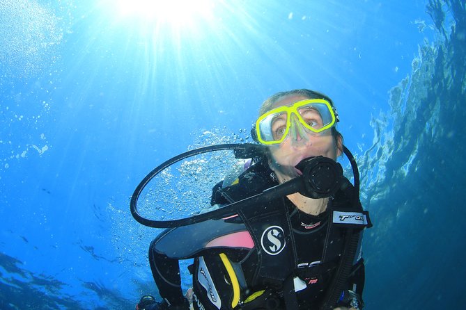 Coral Garden and Liberty Shipwreck Intro to Scuba Diving  - Ubud - Scuba Diving Experience Highlights