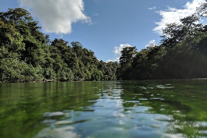 Corcovado Tour-1 Night at Sirena Station-Starting and Finishing in Drake Bay - Tour Overview