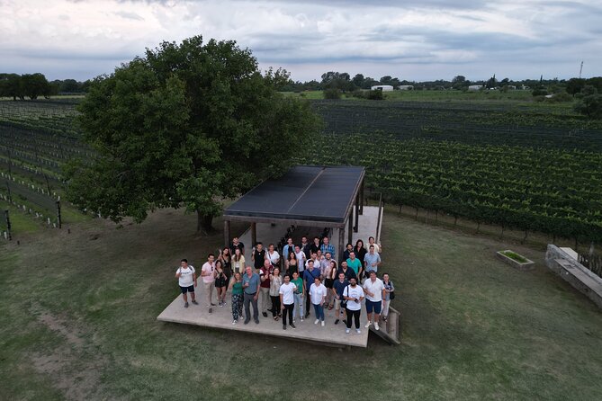 Córdoba: All-Inclusive Private Winery Tour With Lunch (Feb ) - Tour Highlights