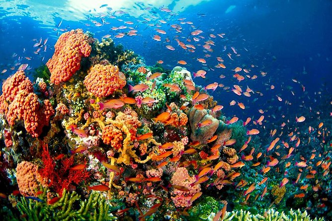 Coron Island Tour A (Shared Tour) - Tour Overview