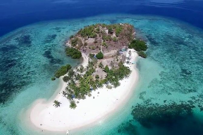 Coron Reefs & Wreck Private Tour - Tour Overview