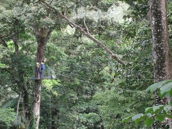 Costa Rica's Volcanic Wonders Await: Guided Adventure - Costa Ricas Volcanic Landscape